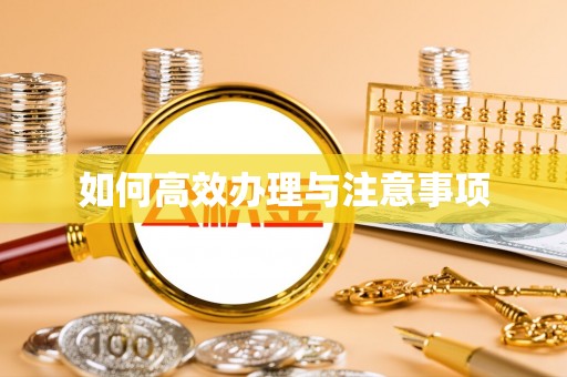 平凉如何高效办理与注意事项