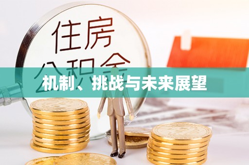平凉机制、挑战与未来展望